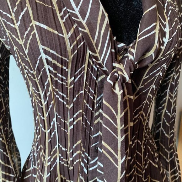 Brown Sheer Flare Blouse - Picture 3 of 7